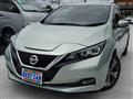 2019 Nissan Leaf