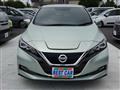 2019 Nissan Leaf