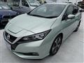 2019 Nissan Leaf