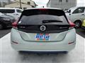 2019 Nissan Leaf