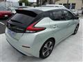 2019 Nissan Leaf