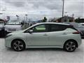2019 Nissan Leaf