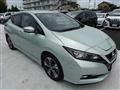 2019 Nissan Leaf