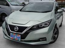 2019 Nissan Leaf