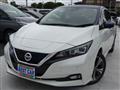 2019 Nissan Leaf