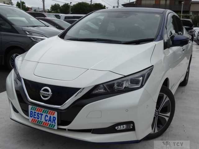 2019 Nissan Leaf