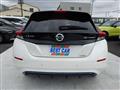 2019 Nissan Leaf