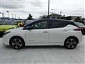2019 Nissan Leaf