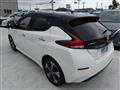 2019 Nissan Leaf