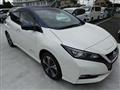 2019 Nissan Leaf