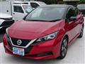 2020 Nissan Leaf