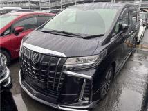 2021 Toyota Alphard G