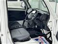 2018 Suzuki Carry Truck