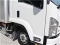 2010 Isuzu Isuzu Others