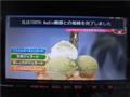 2017 Suzuki Landy