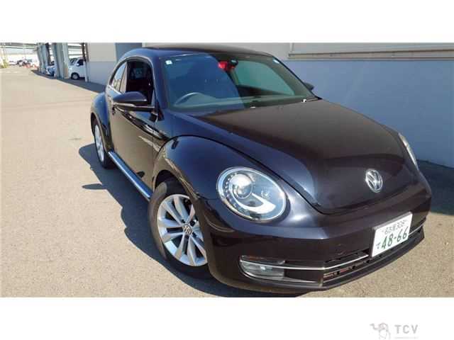2013 Volkswagen Volkswagen Others