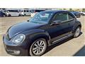 2013 Volkswagen Volkswagen Others
