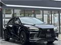 2025 Lexus RX