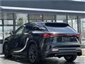 2025 Lexus RX