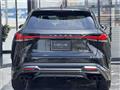2025 Lexus RX