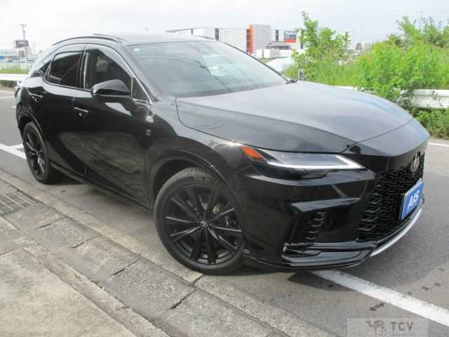 2024 Lexus RX