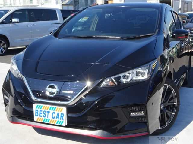 2019 Nissan Leaf