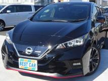 2019 Nissan Leaf