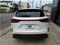 2023 Lexus Other