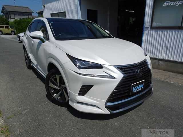 2018 Lexus Other