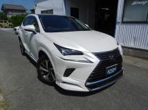 2018 Lexus Other