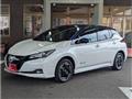 2022 Nissan Leaf