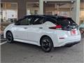 2022 Nissan Leaf