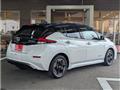 2022 Nissan Leaf