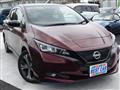 2021 Nissan Leaf