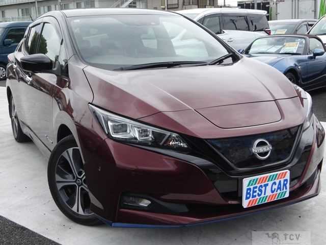 2021 Nissan Leaf