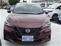 2021 Nissan Leaf