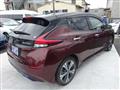 2021 Nissan Leaf