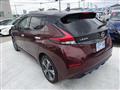 2021 Nissan Leaf