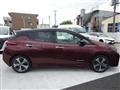 2021 Nissan Leaf