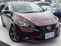 2021 Nissan Leaf