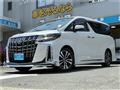2021 Toyota Alphard G