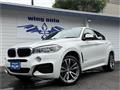 2019 BMW X6