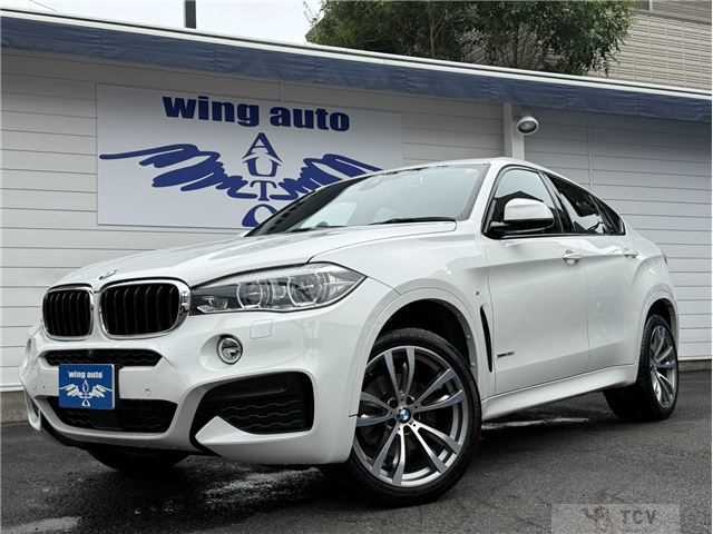 2019 BMW X6