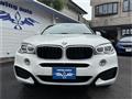2019 BMW X6