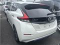 2019 Nissan Leaf