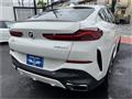 2021 BMW X6