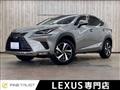 2019 Lexus Other