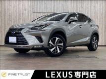 2019 Lexus Other