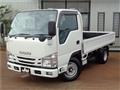 2020 Isuzu Elf Truck