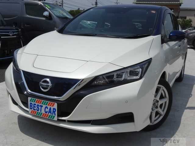 2021 Nissan Leaf